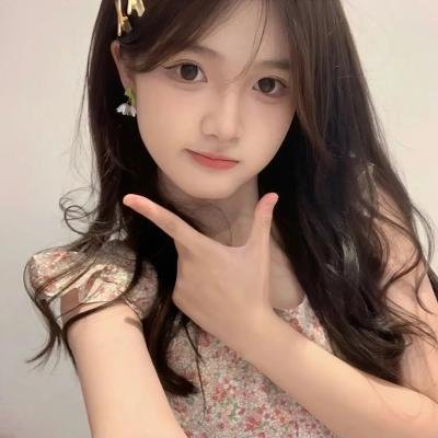 翱翔于天际的夜鹰